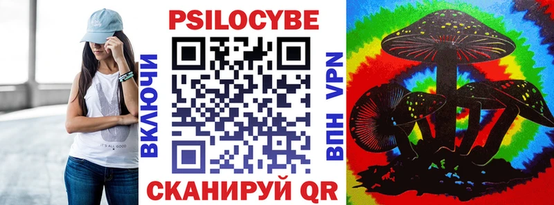 продажа наркотиков даркнет клад ОМГ ОМГ сайт Псилоцибиновые грибы ЛСД Новозыбков