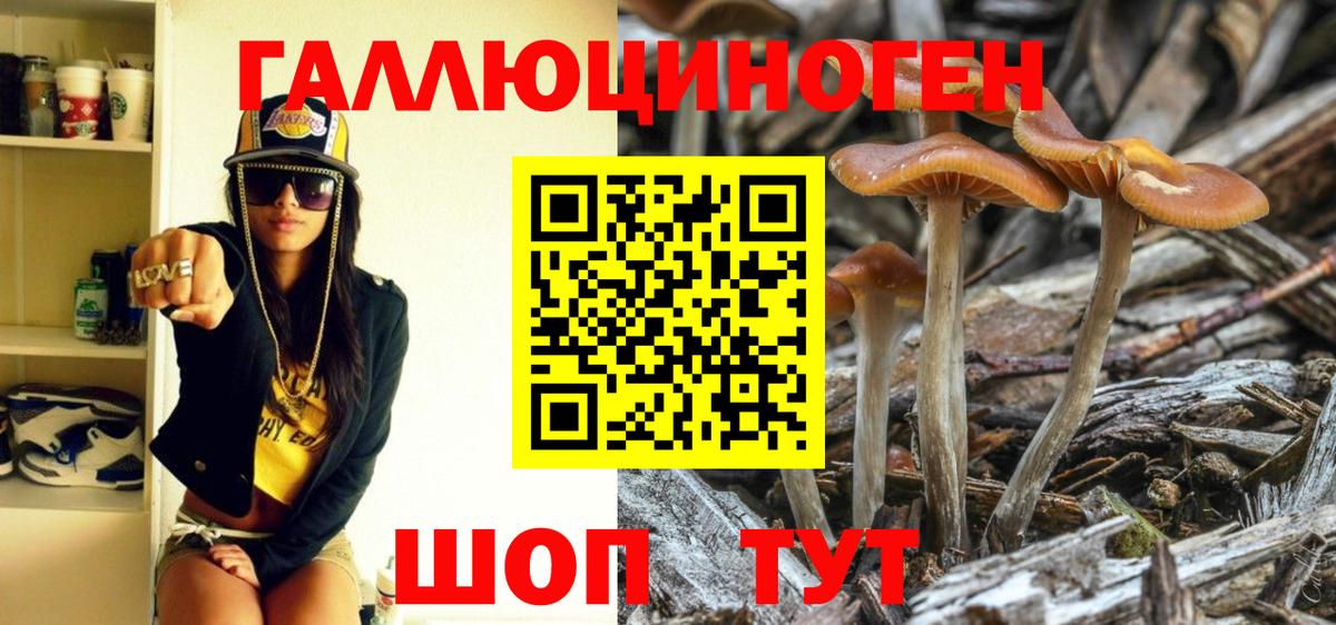 хочу наркоту  Вход с VPN  Новозыбков  Галлюциногенные грибы Magic Shrooms 