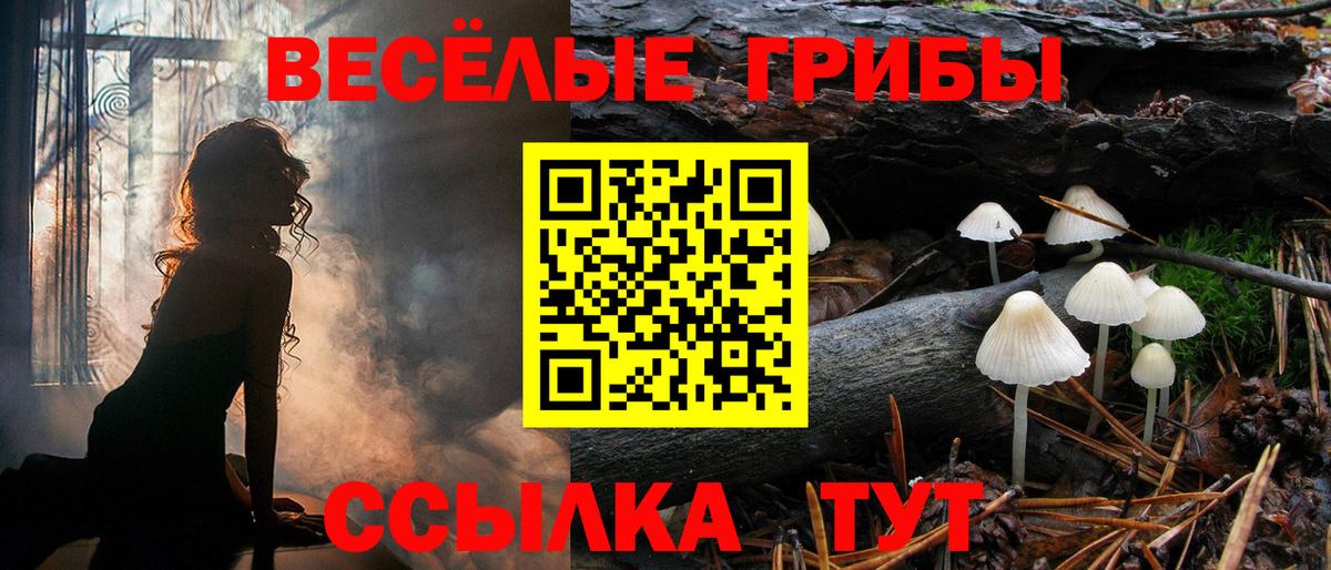 Галлюциногенные грибы Psilocybine cubensis Новозыбков