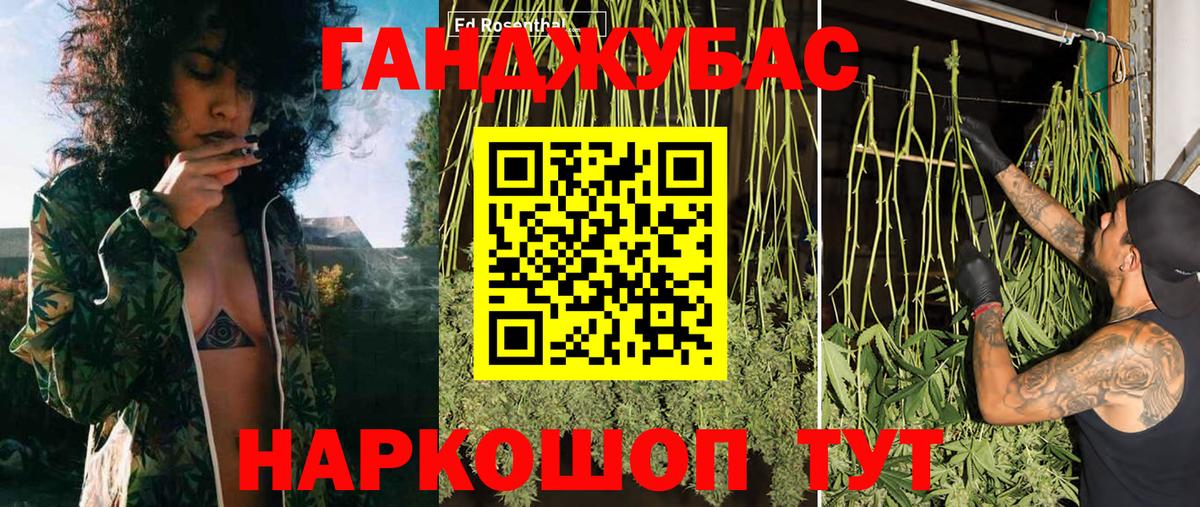 Новозыбков  Шишки марихуана планчик  Вход с VPN  Марихуана Bruce Banner  Марихуана White Widow 